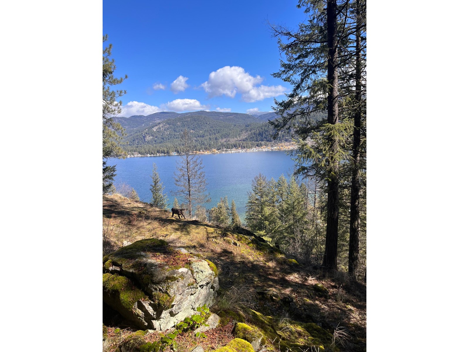 1614 Strome Road, Christina Lake, British Columbia  v0h 1e0 - Photo 5 - 2475872