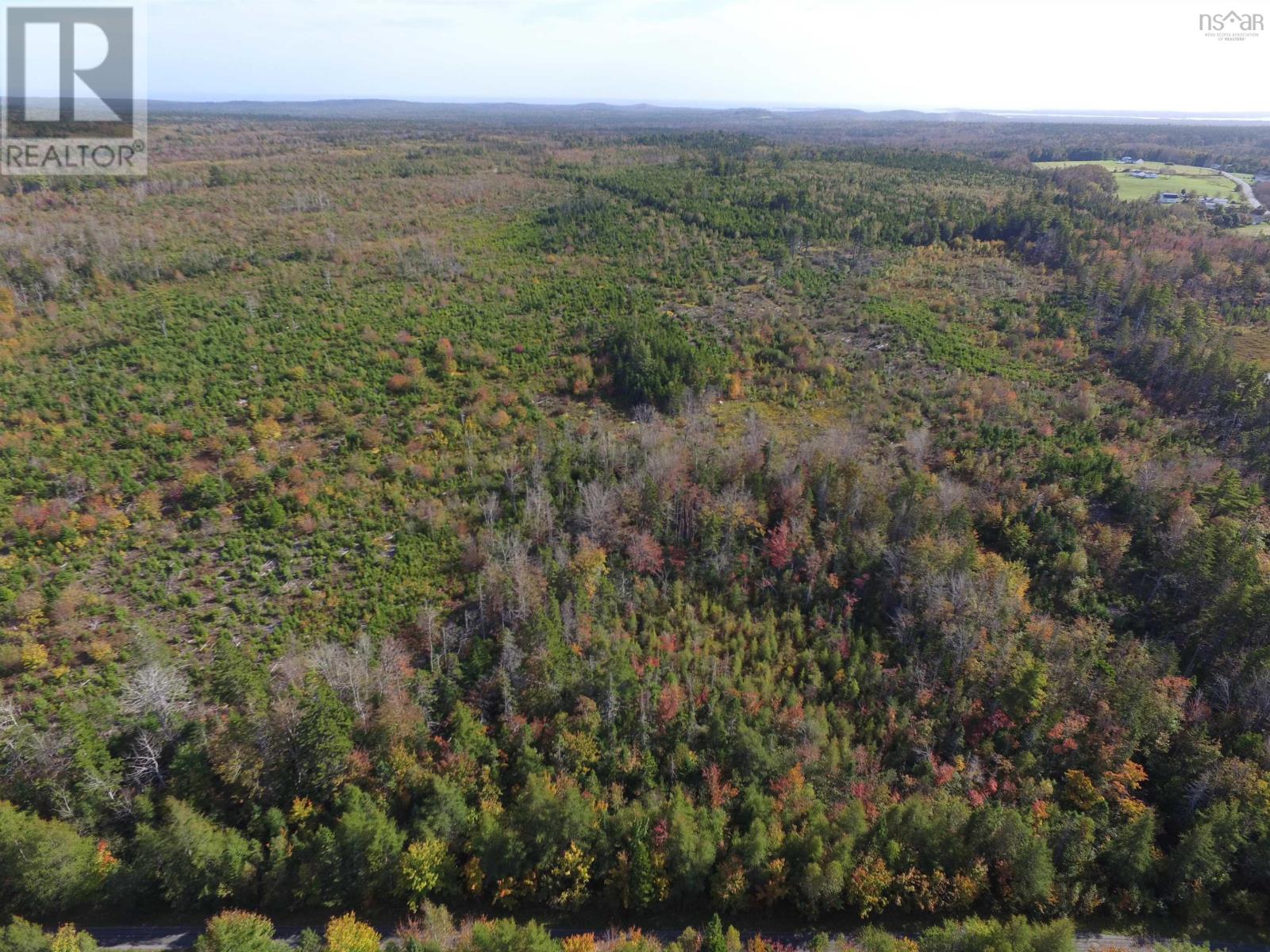 Lots Hirtle Road, Pid#60302080, 60492709, Middlewood, Nova Scotia  B4V 6L6 - Photo 6 - 202406093