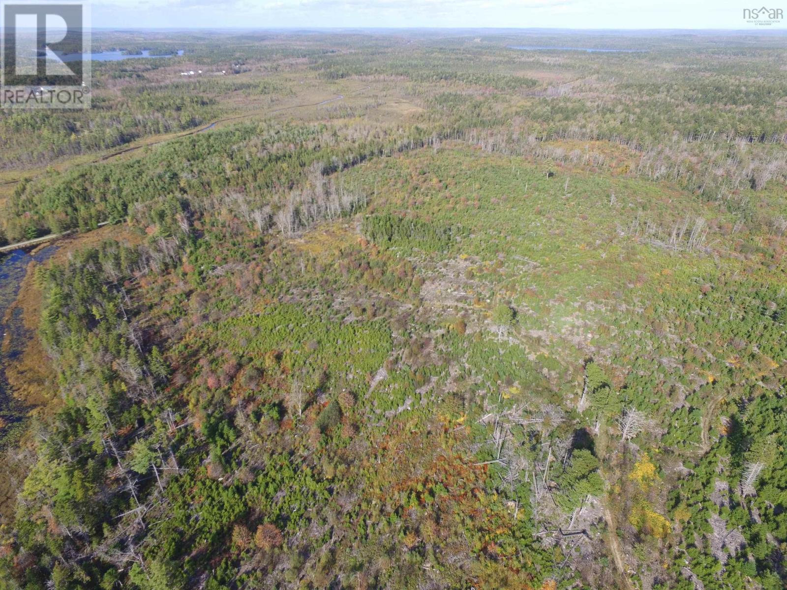 Lots Hirtle Road, Pid#60302080, 60492709, Middlewood, Nova Scotia  B4V 6L6 - Photo 8 - 202406093