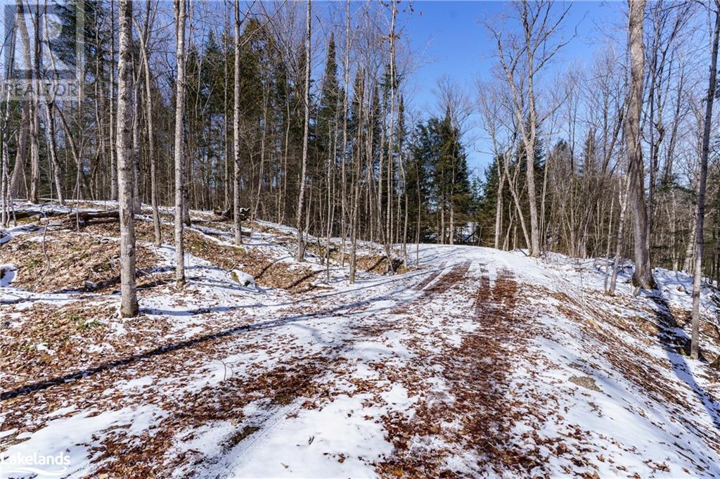 1206 Minden Point Trail, Dorset, Ontario  P0A 1E0 - Photo 7 - 40562080