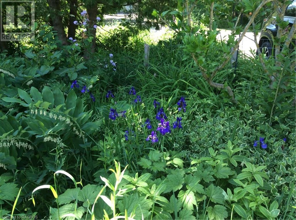 16 Bell Road, Saugeen Twp, Ontario  N0H 2C5 - Photo 46 - 40551783