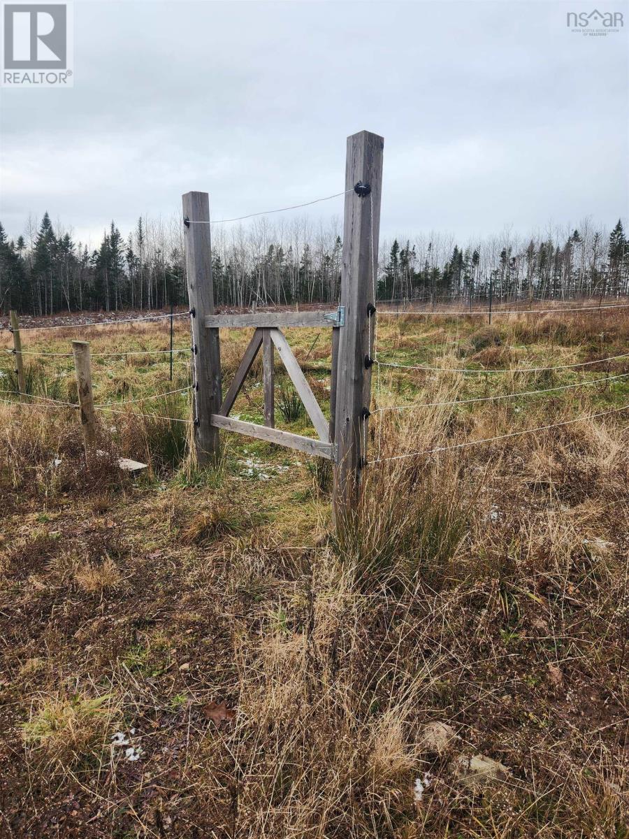 300 Lane Cross Road, Lanesville, Nova Scotia  B0N 2J0 - Photo 10 - 202406170