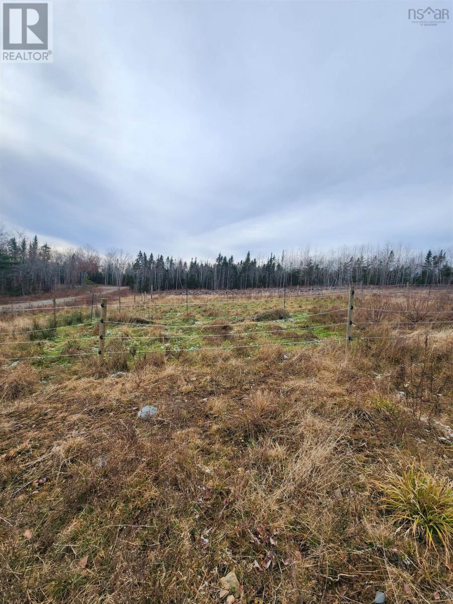 300 Lane Cross Road, Lanesville, Nova Scotia  B0N 2J0 - Photo 11 - 202406170