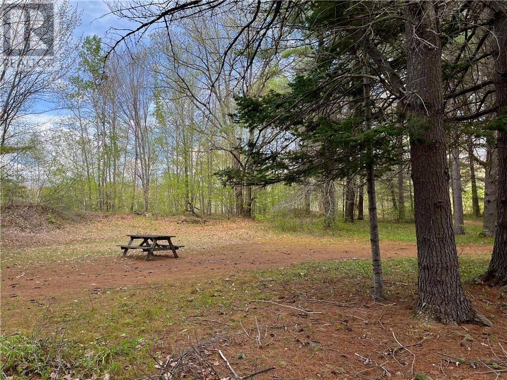 Lot 34 SANDY SHORES TRAIL Barry's Bay