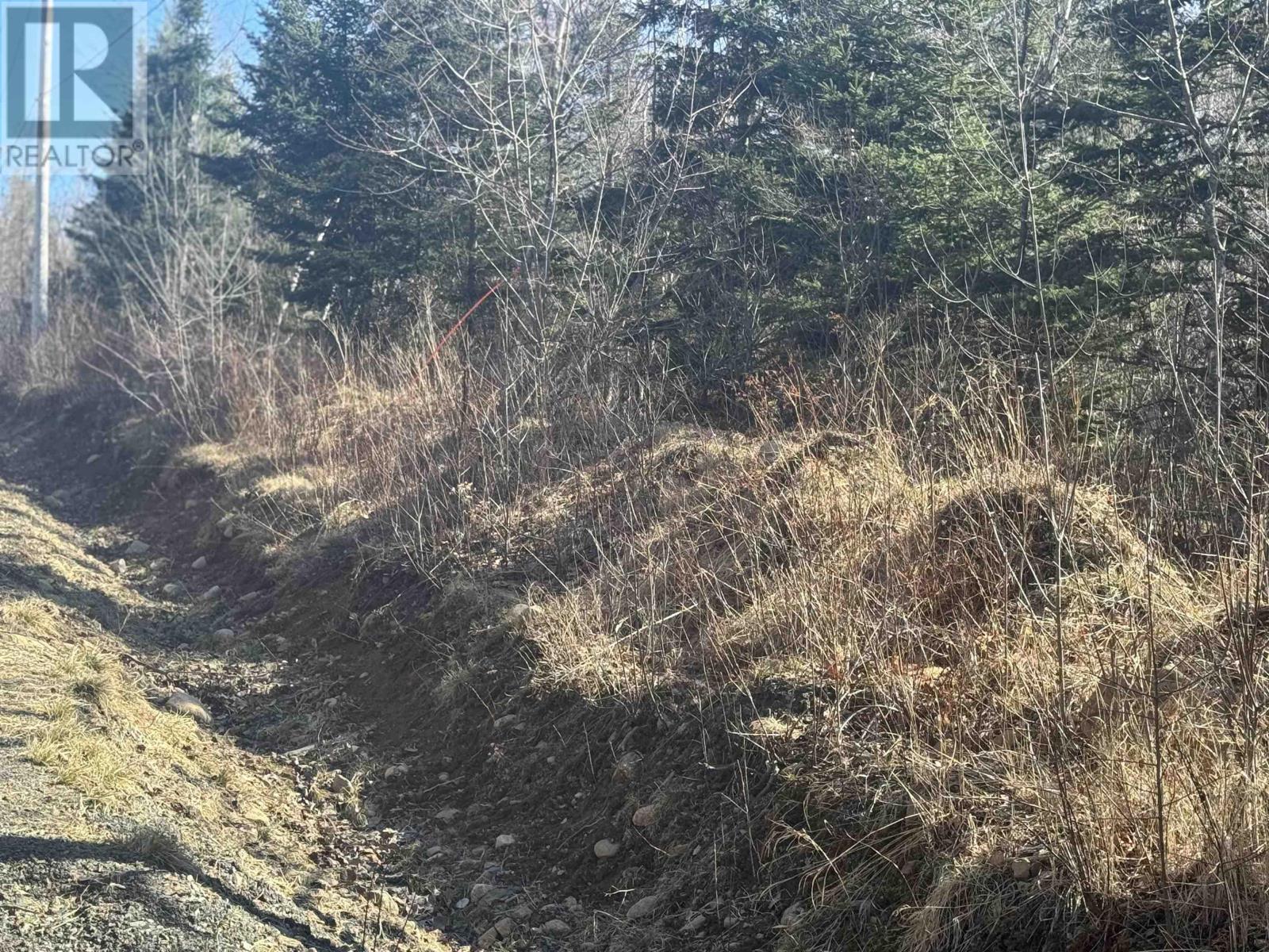 163 Chesley Road, Barss Corner, Nova Scotia  B0R 1E0 - Photo 2 - 202406195
