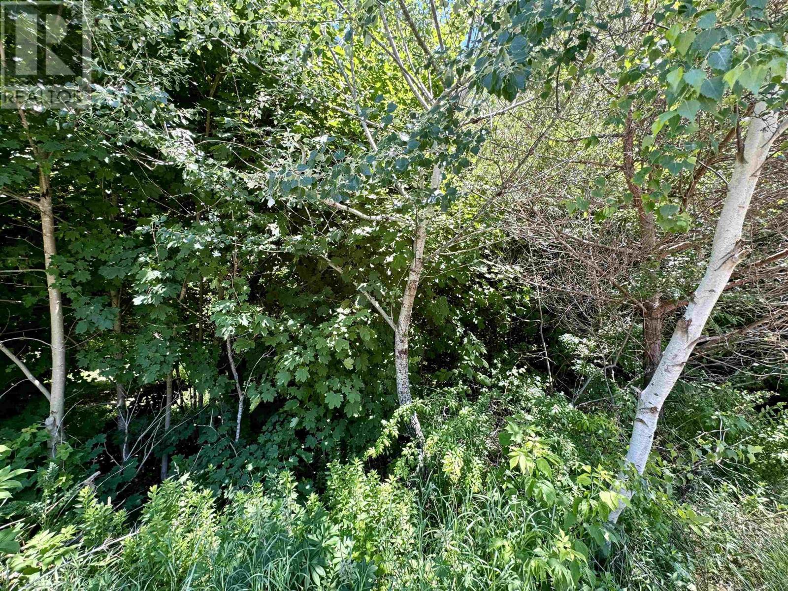 Lot Highway 359, Centreville, Nova Scotia  B0P 1J0 - Photo 3 - 202406197