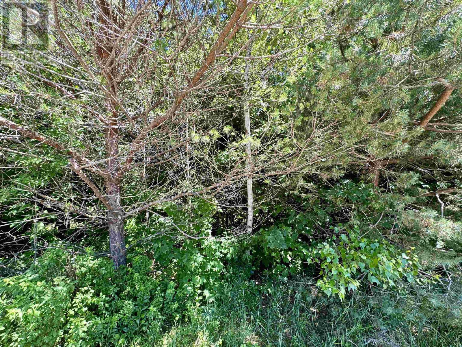 Lot Highway 359, Centreville, Nova Scotia  B0P 1J0 - Photo 4 - 202406197