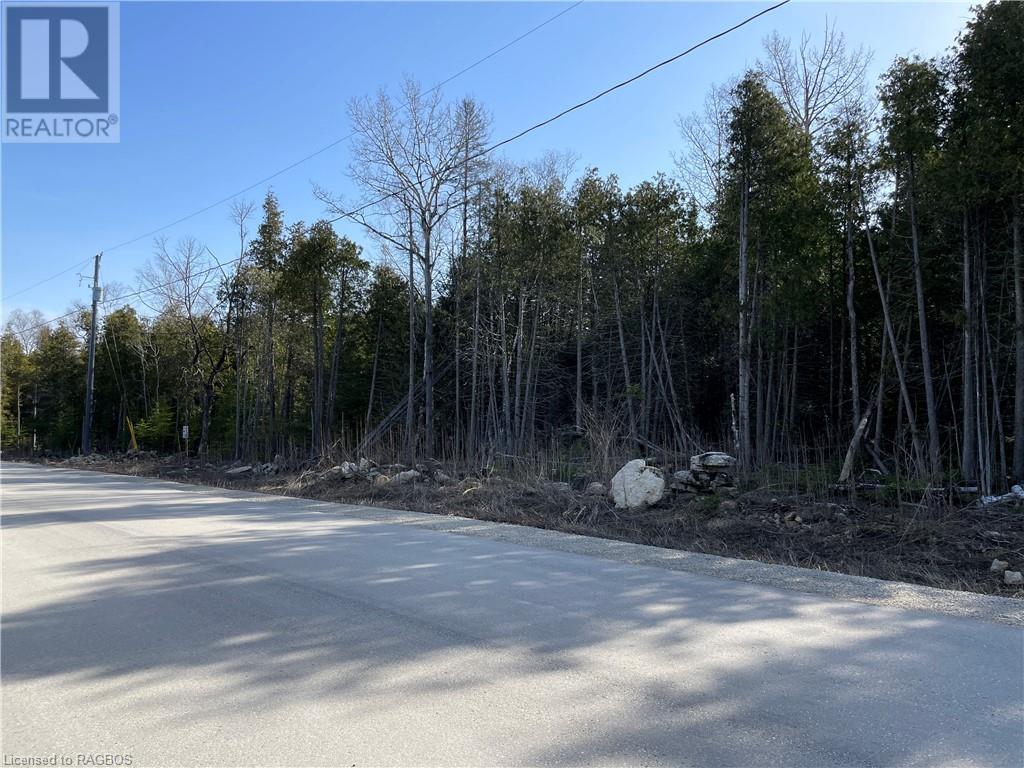 Lot 5 Trillium Crossing, Northern Bruce Peninsula, Ontario  N0H 1W0 - Photo 10 - 40565318