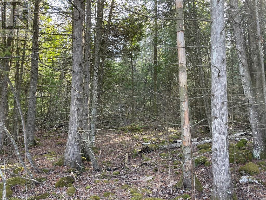 Lot 5 Trillium Crossing, Northern Bruce Peninsula, Ontario  N0H 1W0 - Photo 13 - 40565318