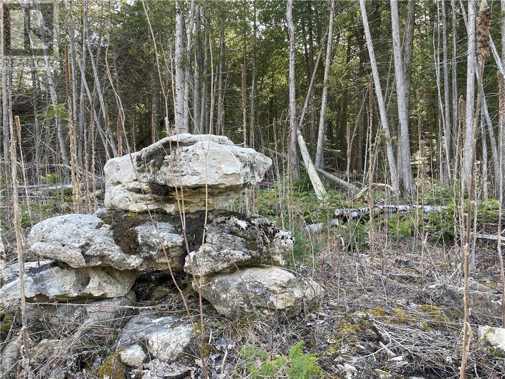 Lot 5 Trillium Crossing, Northern Bruce Peninsula, Ontario  N0H 1W0 - Photo 14 - 40565318
