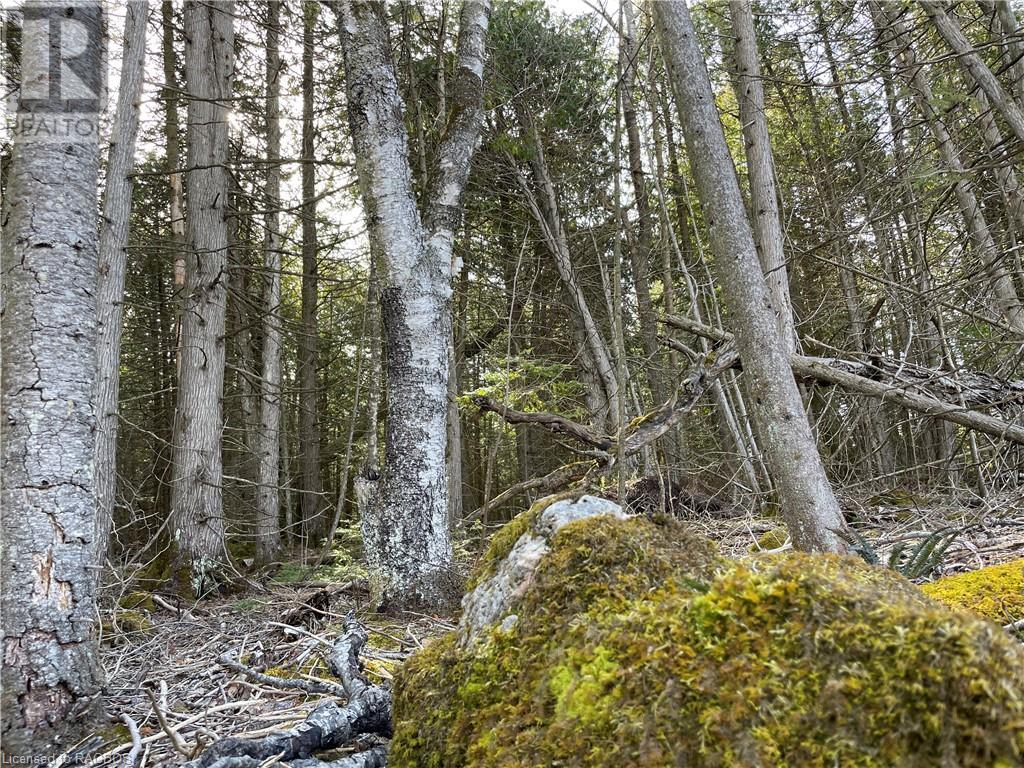 Lot 5 Trillium Crossing, Northern Bruce Peninsula, Ontario  N0H 1W0 - Photo 15 - 40565318