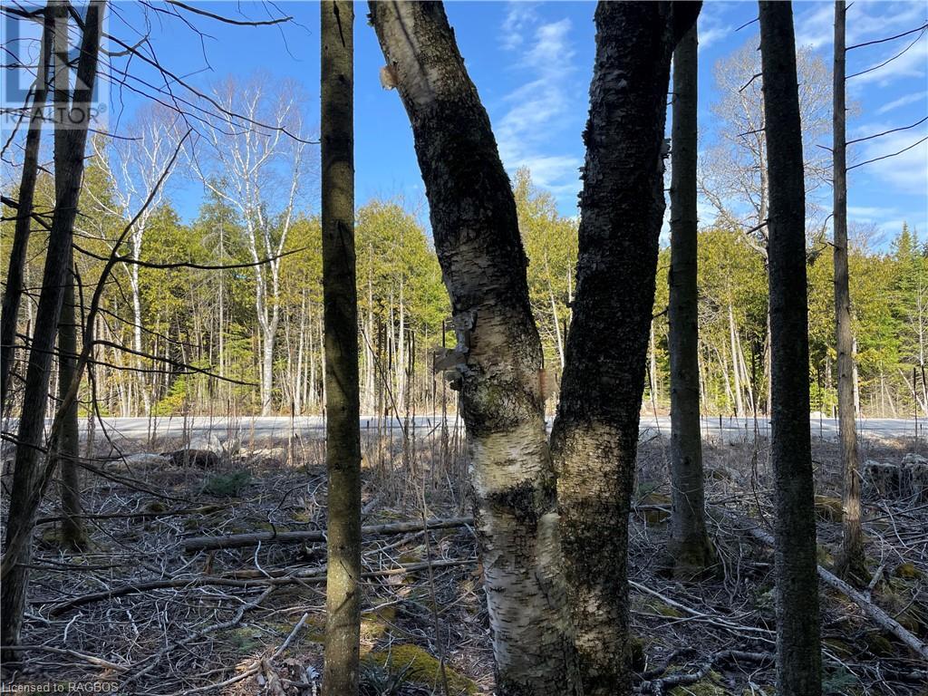 Lot 5 Trillium Crossing, Northern Bruce Peninsula, Ontario  N0H 1W0 - Photo 16 - 40565318