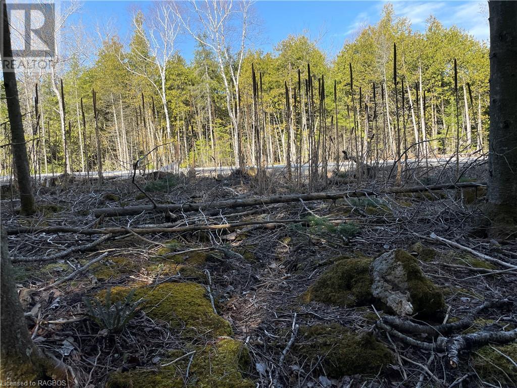 Lot 5 Trillium Crossing, Northern Bruce Peninsula, Ontario  N0H 1W0 - Photo 17 - 40565318