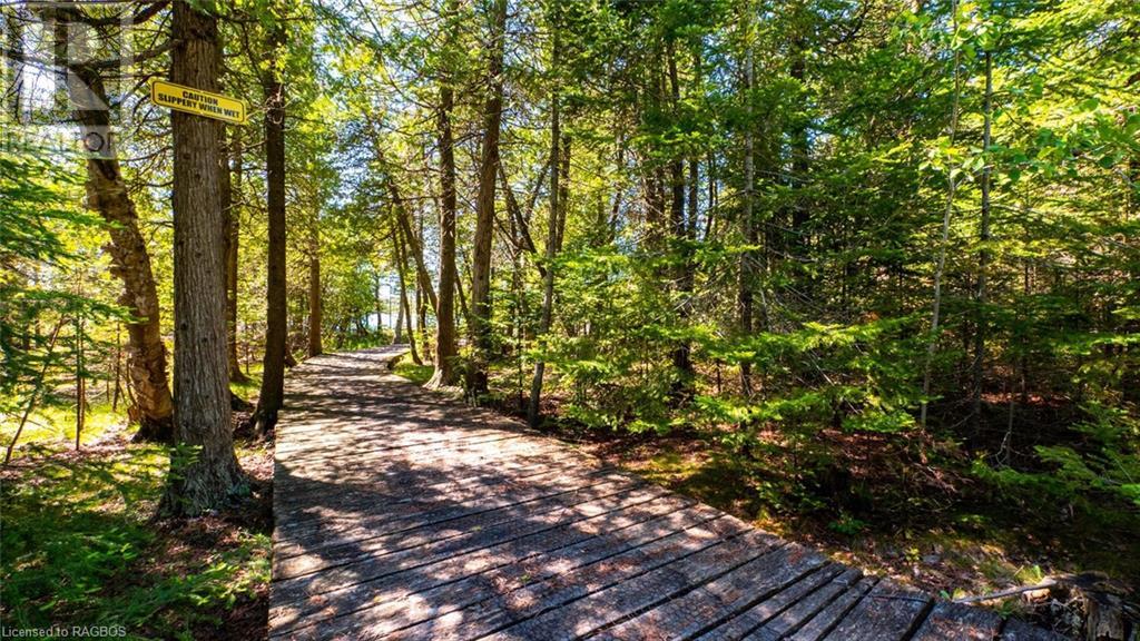 Lot 5 Trillium Crossing, Northern Bruce Peninsula, Ontario  N0H 1W0 - Photo 24 - 40565318