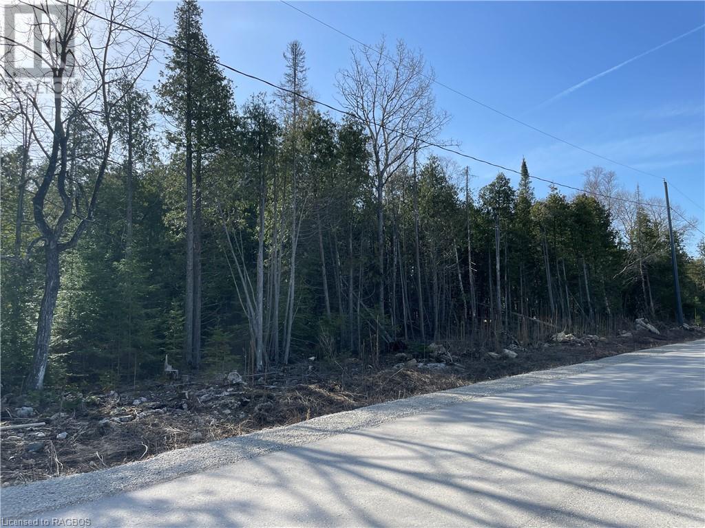 Lot 5 Trillium Crossing, Northern Bruce Peninsula, Ontario  N0H 1W0 - Photo 7 - 40565318