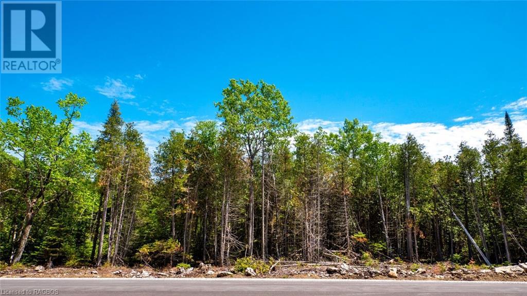 Lot 5 Trillium Crossing, Northern Bruce Peninsula, Ontario  N0H 1W0 - Photo 8 - 40565318
