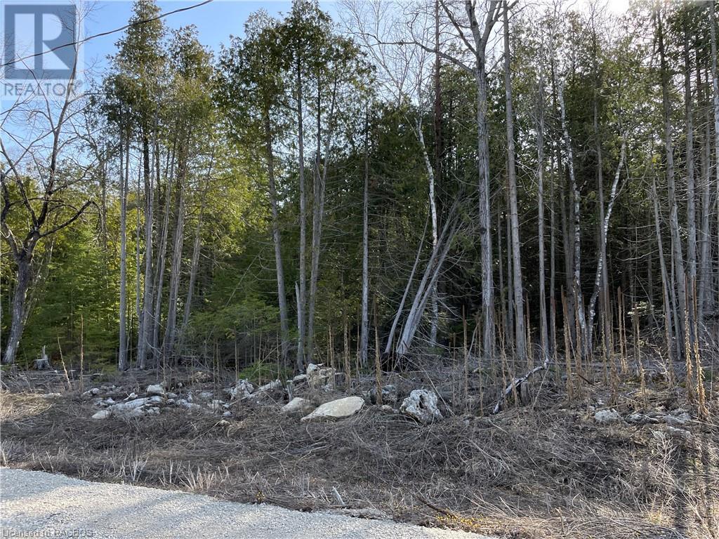Lot 5 Trillium Crossing, Northern Bruce Peninsula, Ontario  N0H 1W0 - Photo 9 - 40565318