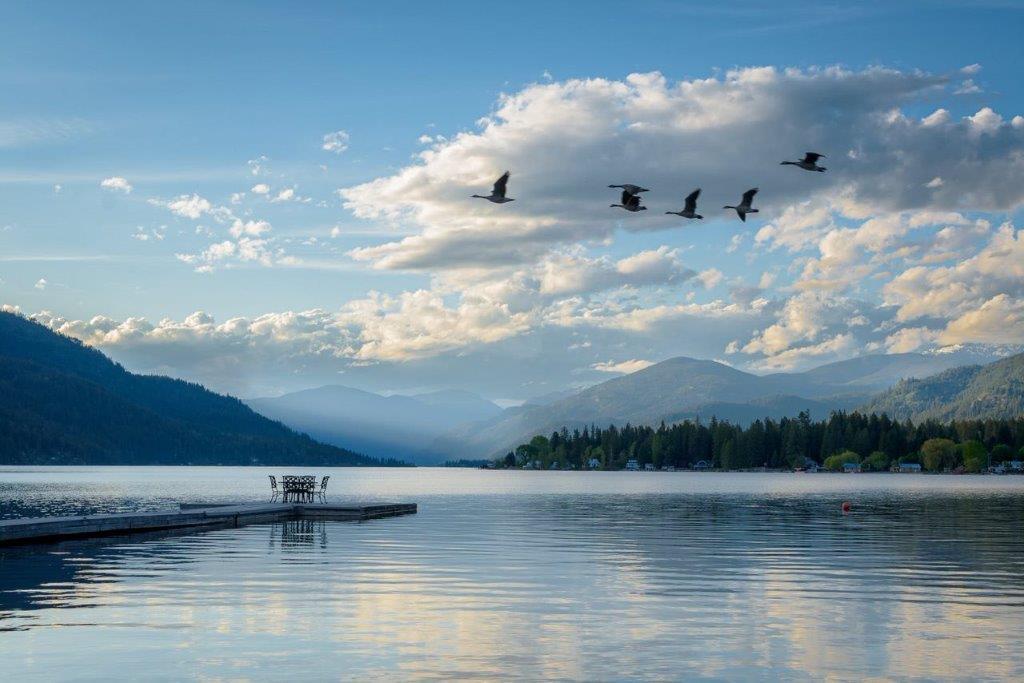 102 Sandner Rd, Christina Lake, British Columbia  V0H 1E0 - Photo 18 - 2475881