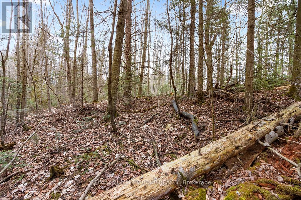 Ptlt 40 Osprey Artemesia Twl, Grey Highlands, Ontario  N0C 1E0 - Photo 10 - X8204236