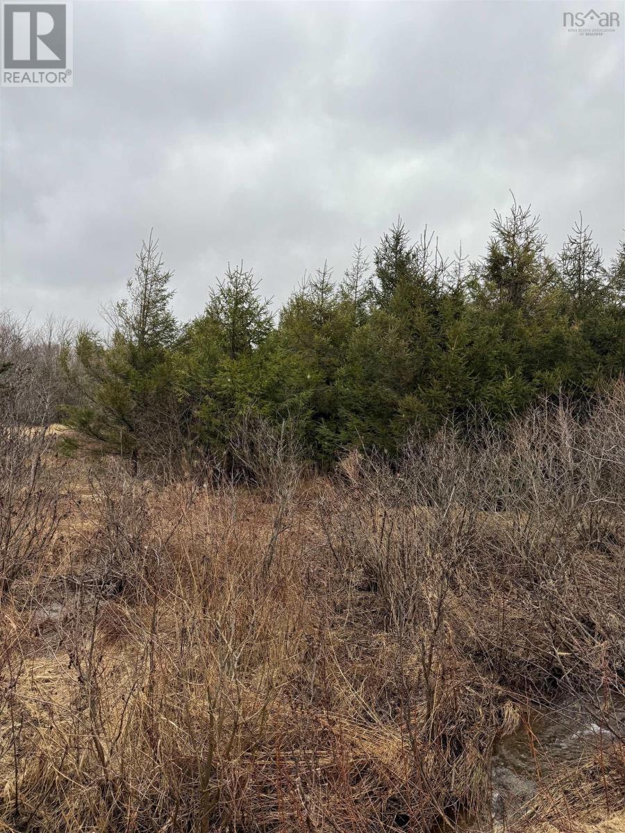 Lot 3 Ben Phinney Road, Margaretsville, Nova Scotia  B0P 1R0 - Photo 1 - 202406223