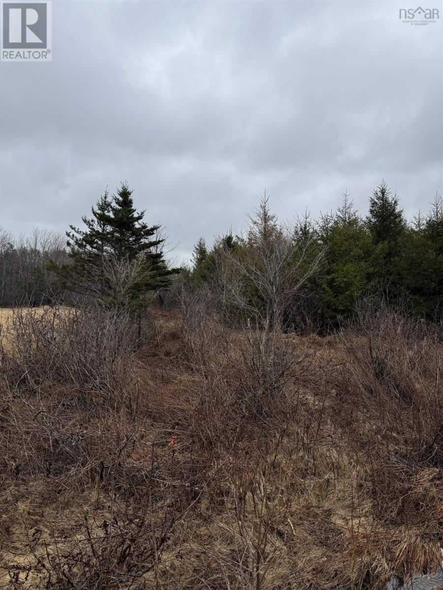 Lot 3 Ben Phinney Road, Margaretsville, Nova Scotia  B0P 1R0 - Photo 2 - 202406223