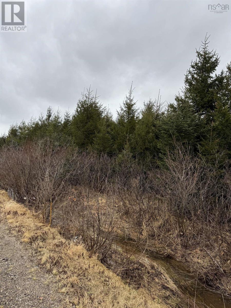 Lot 3 Ben Phinney Road, Margaretsville, Nova Scotia  B0P 1R0 - Photo 4 - 202406223