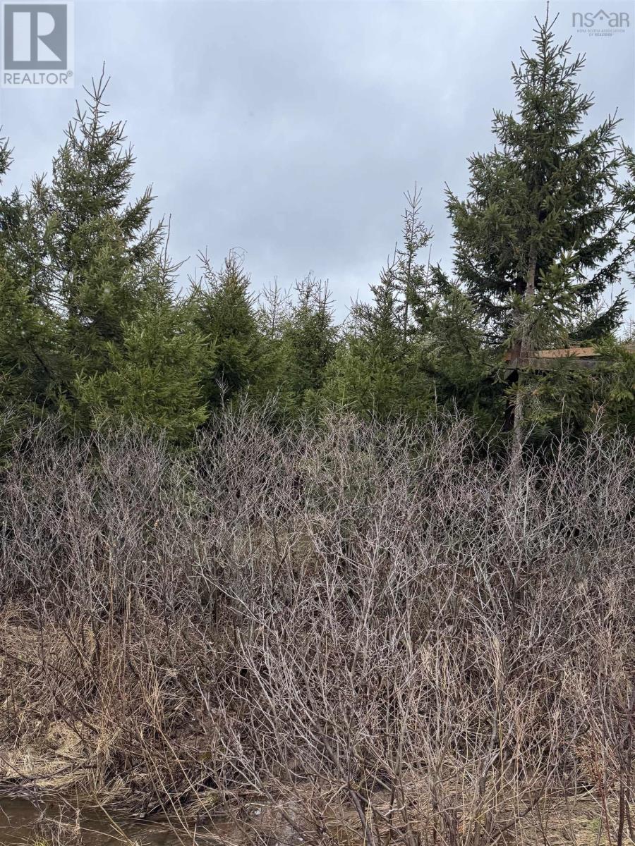 Lot 3 Ben Phinney Road, Margaretsville, Nova Scotia  B0P 1R0 - Photo 5 - 202406223