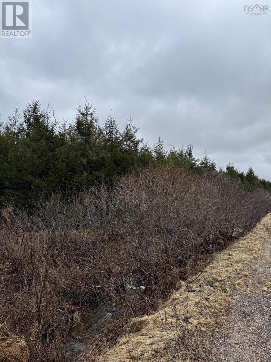 Lot 3 Ben Phinney Road, Margaretsville, Nova Scotia  B0P 1R0 - Photo 6 - 202406223