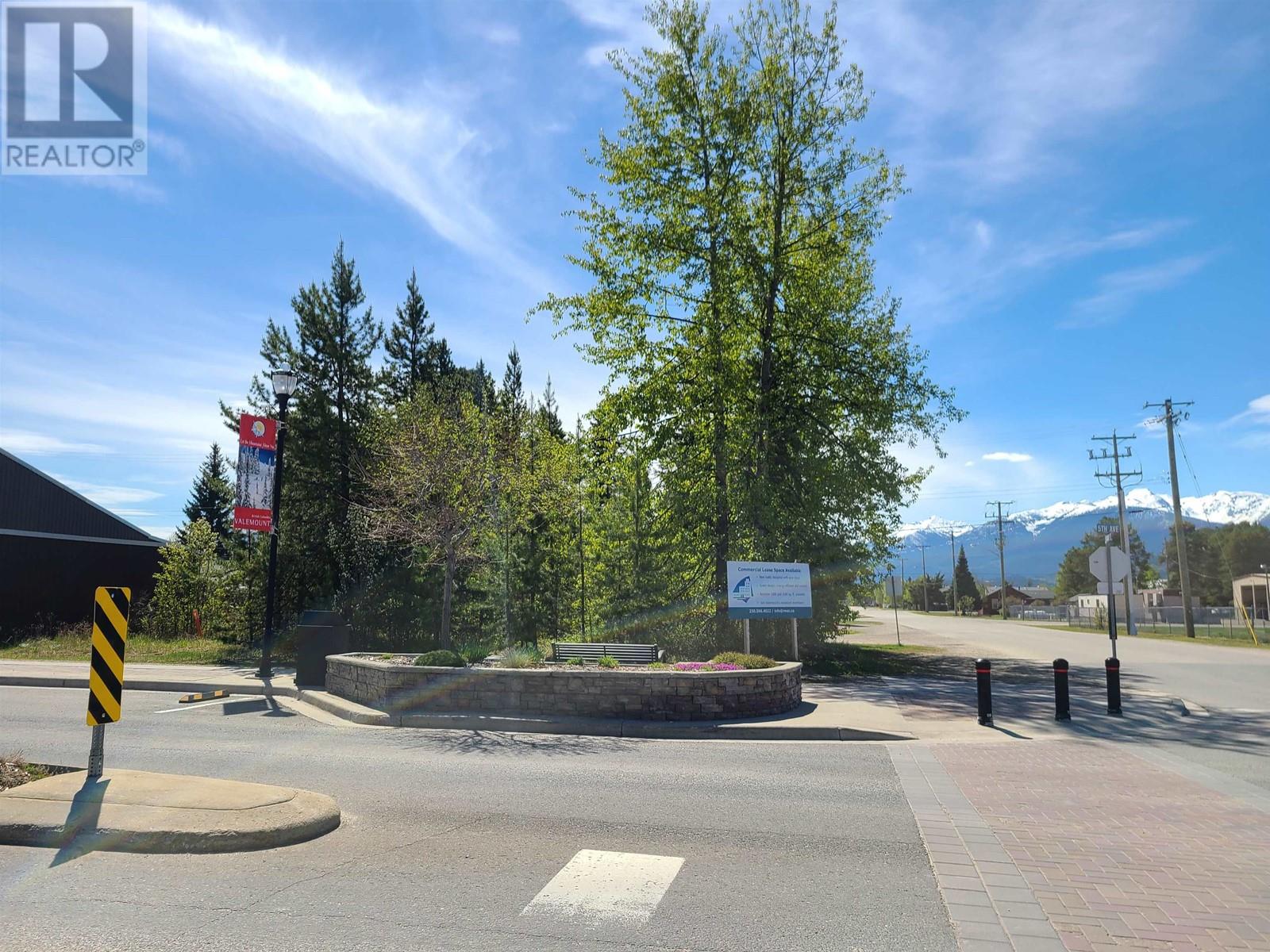 1285 5th Avenue, Valemount, British Columbia  V0E 2Z0 - Photo 8 - C8058913