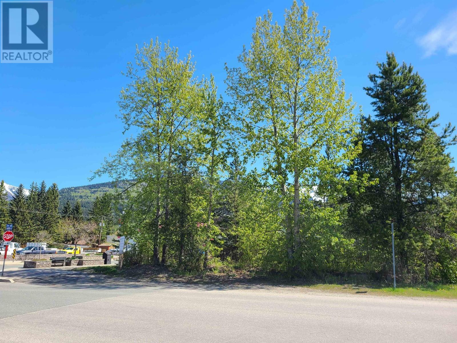 1285 5th Avenue, Valemount, British Columbia  V0E 2Z0 - Photo 6 - C8058913