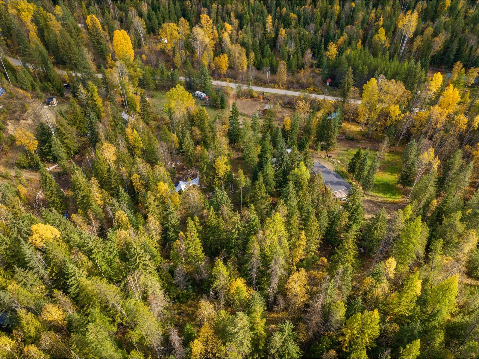 222 Rosebud Lake Road, Nelway, British Columbia  V0G 1Z0 - Photo 8 - 2475910