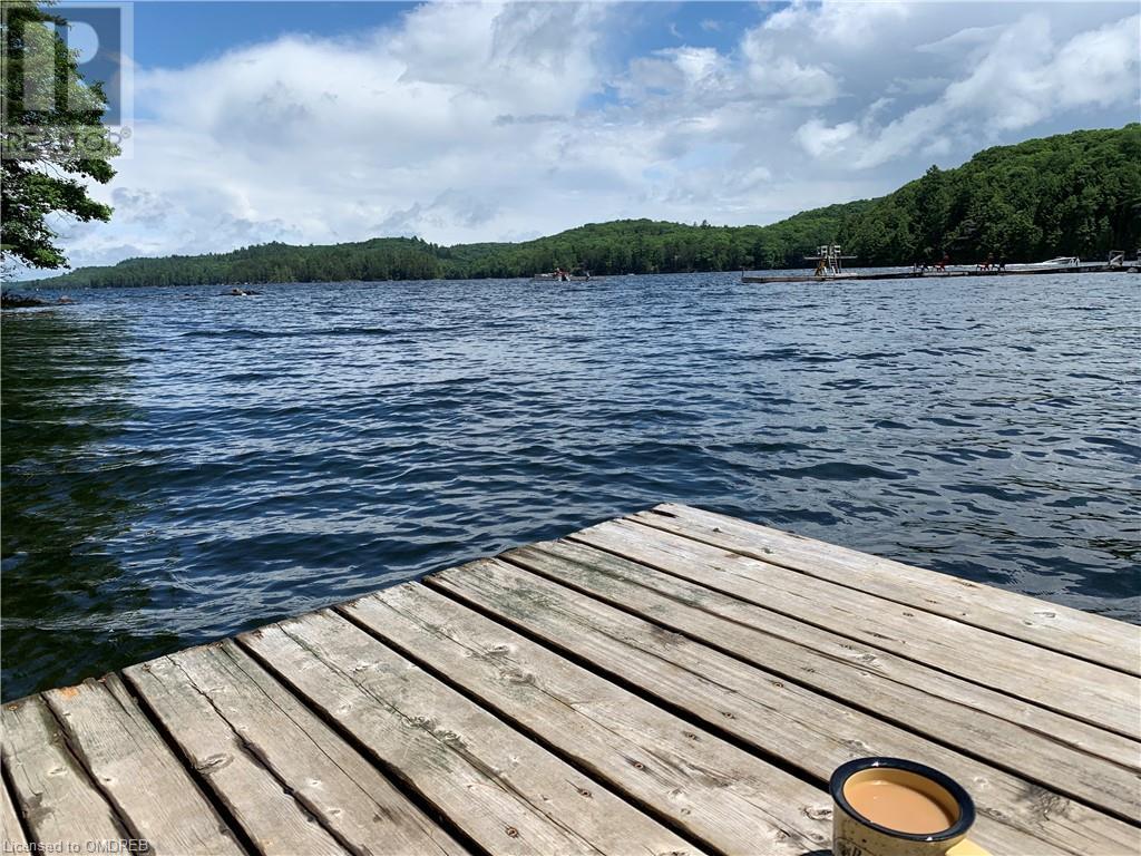 2076 Little Hawk Lake Road, Algonquin Highlands, Ontario  K0M 1J2 - Photo 49 - 40565488