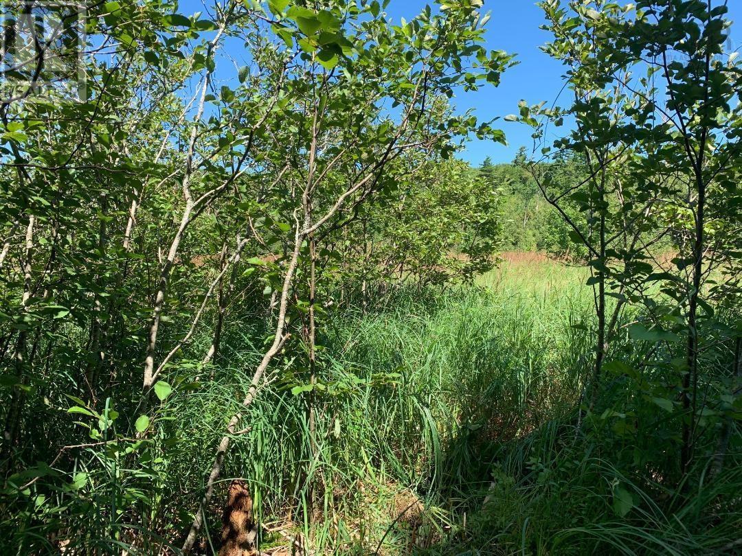 Lot 22-4 Little Harbour Road, Frasers Mountain, Nova Scotia  B2H 3T5 - Photo 3 - 202406283