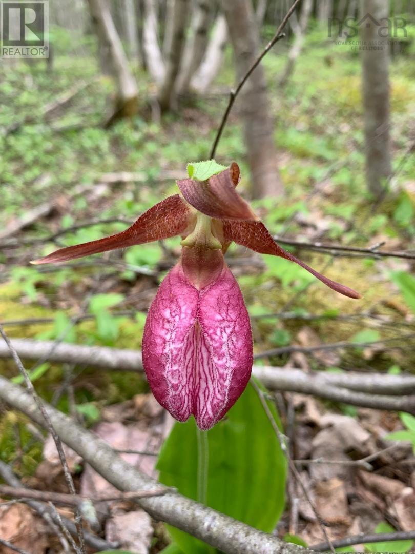 Lot 22-4 Little Harbour Road, Frasers Mountain, Nova Scotia  B2H 3T5 - Photo 4 - 202406283