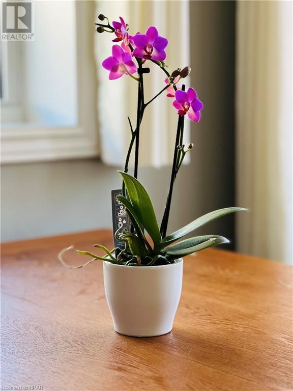 7811 Ken Street, Plympton-Wyoming, Ontario  N0N 1J6 - Photo 20 - 40567018