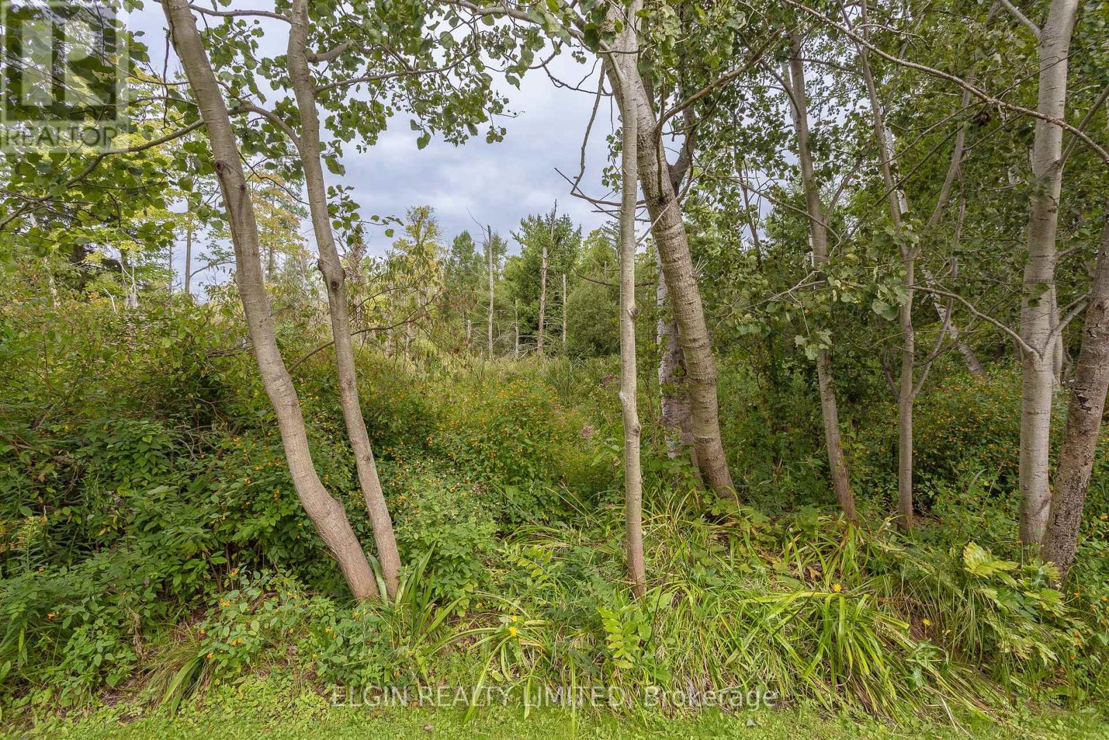 43642 Sparta Line, Central Elgin, Ontario  N5P 3S8 - Photo 37 - X8206956