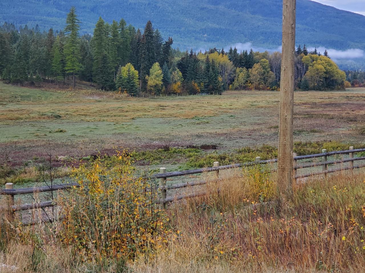 8202 Highway 3/93, Cranbrook, British Columbia  V0B 2J0 - Photo 14 - 2475922