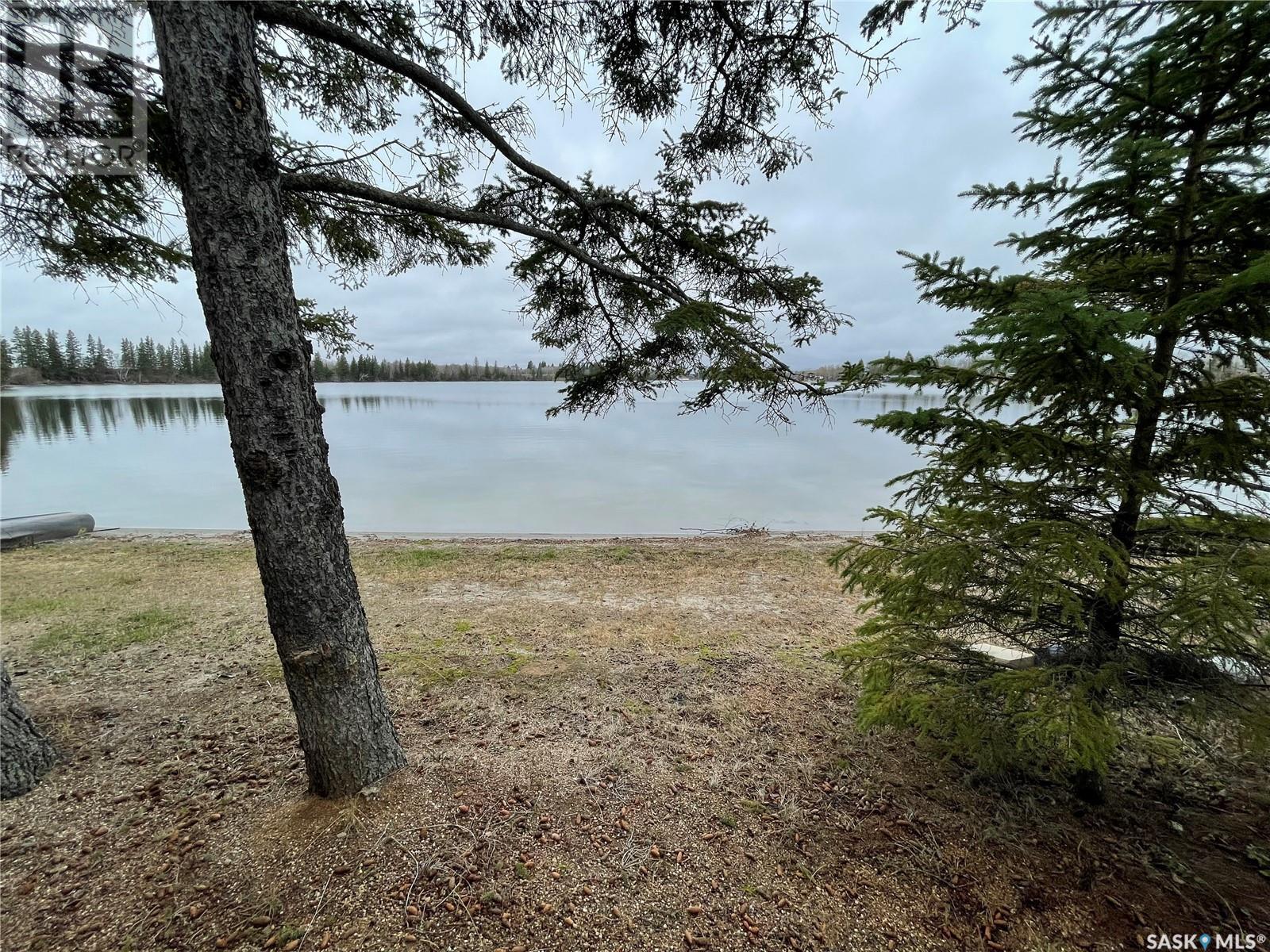 6 Nelson Lake, Preeceville Rm No. 334, Saskatchewan  S0A 3B0 - Photo 2 - SK965027