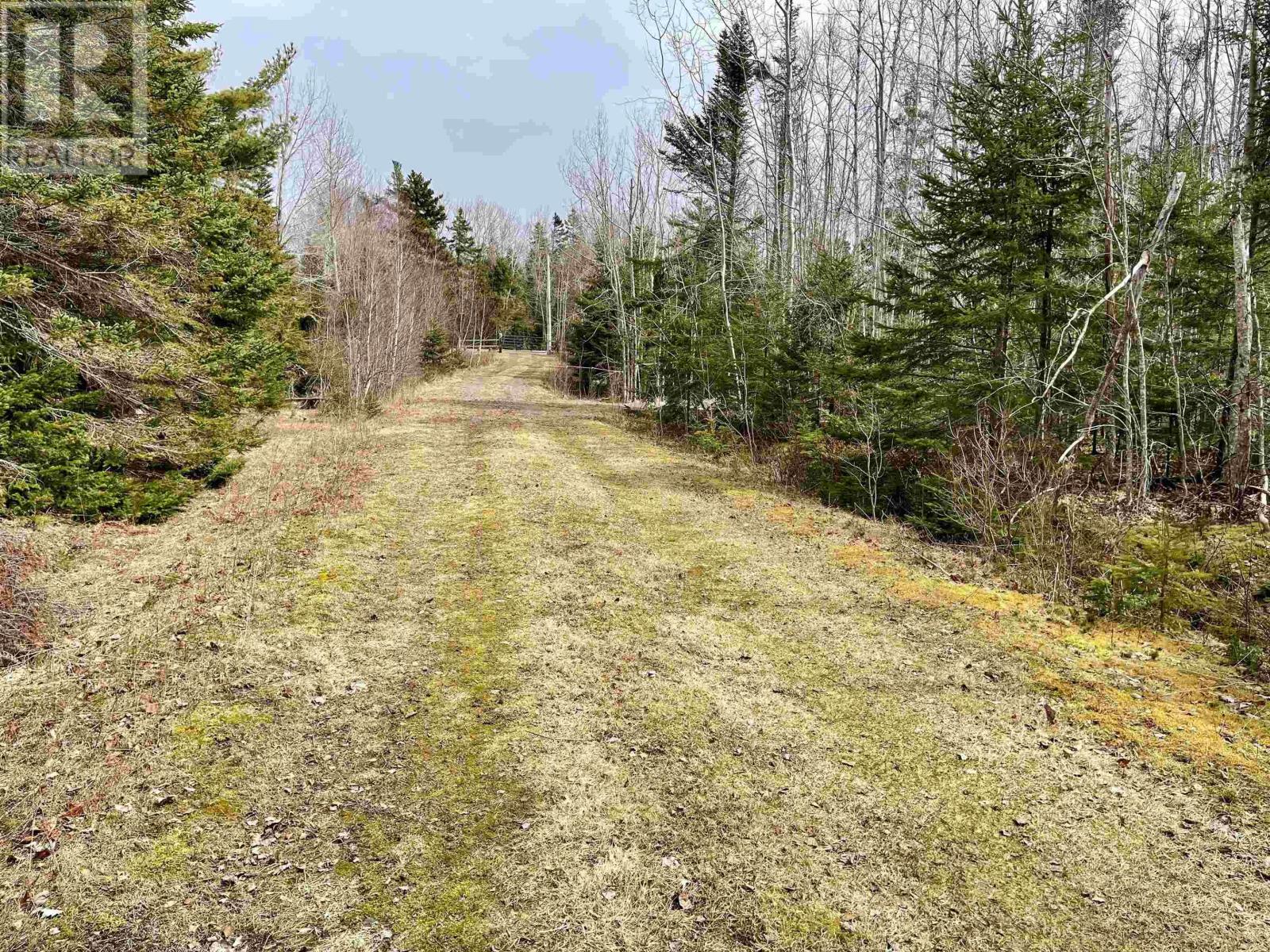 Lot 3 Golden Brook Court, Malagash, Nova Scotia  B0K 1E0 - Photo 3 - 202406336