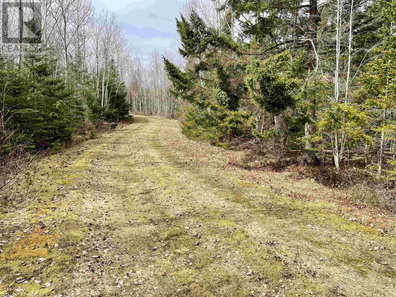 Lot 3 Golden Brook Court, Malagash, Nova Scotia  B0K 1E0 - Photo 4 - 202406336