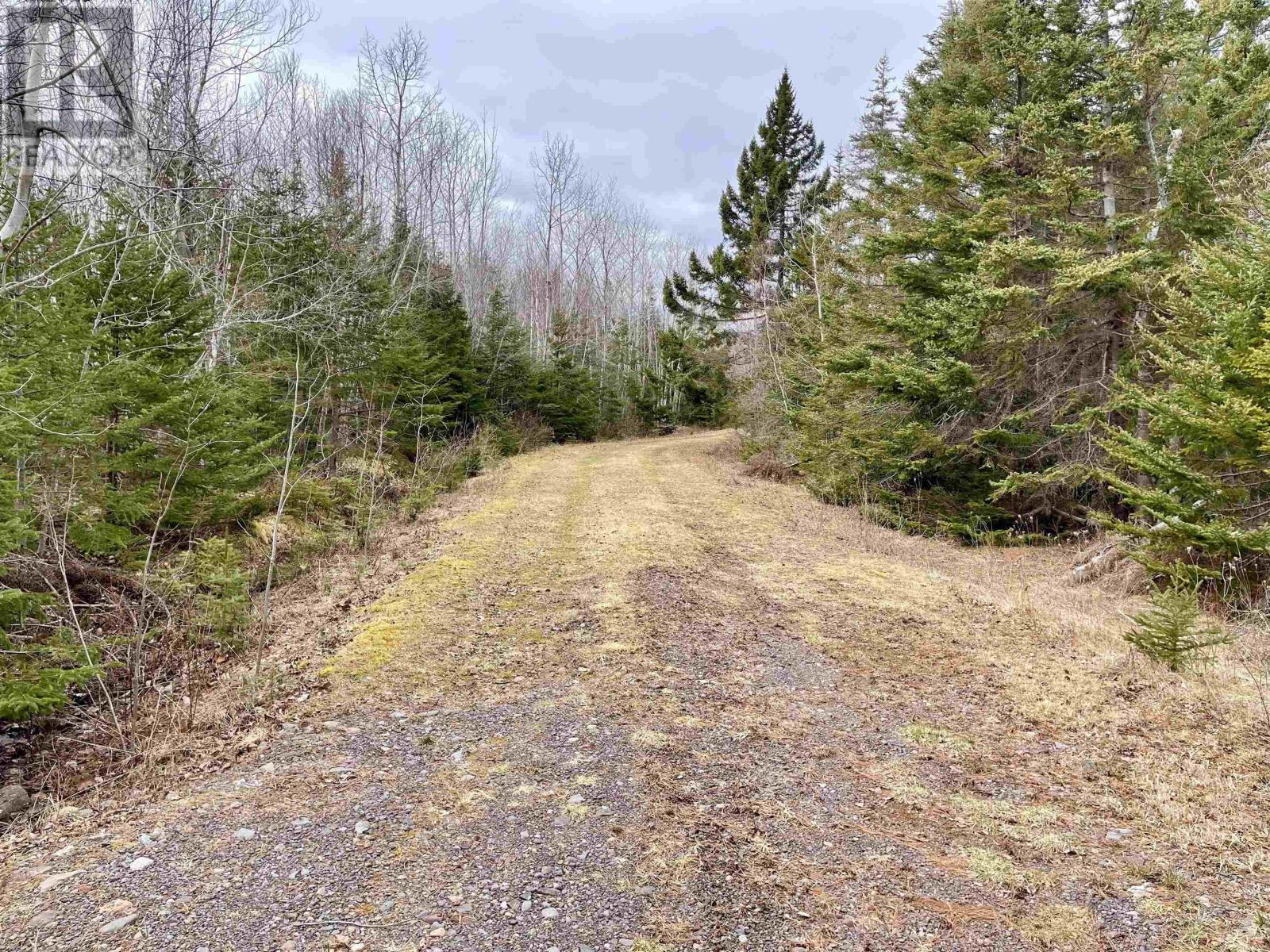 Lot 3 Golden Brook Court, Malagash, Nova Scotia  B0K 1E0 - Photo 5 - 202406336
