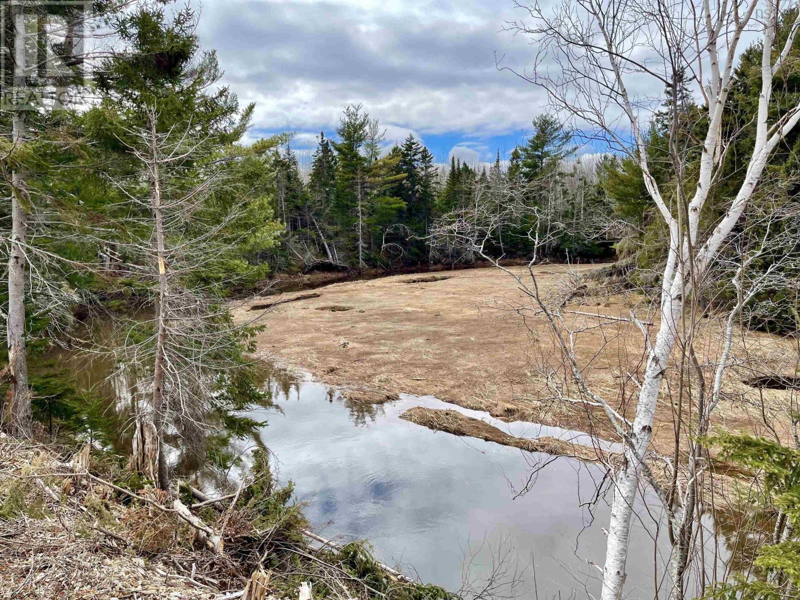 Lot 3 Golden Brook Court, Malagash, Nova Scotia  B0K 1E0 - Photo 6 - 202406336