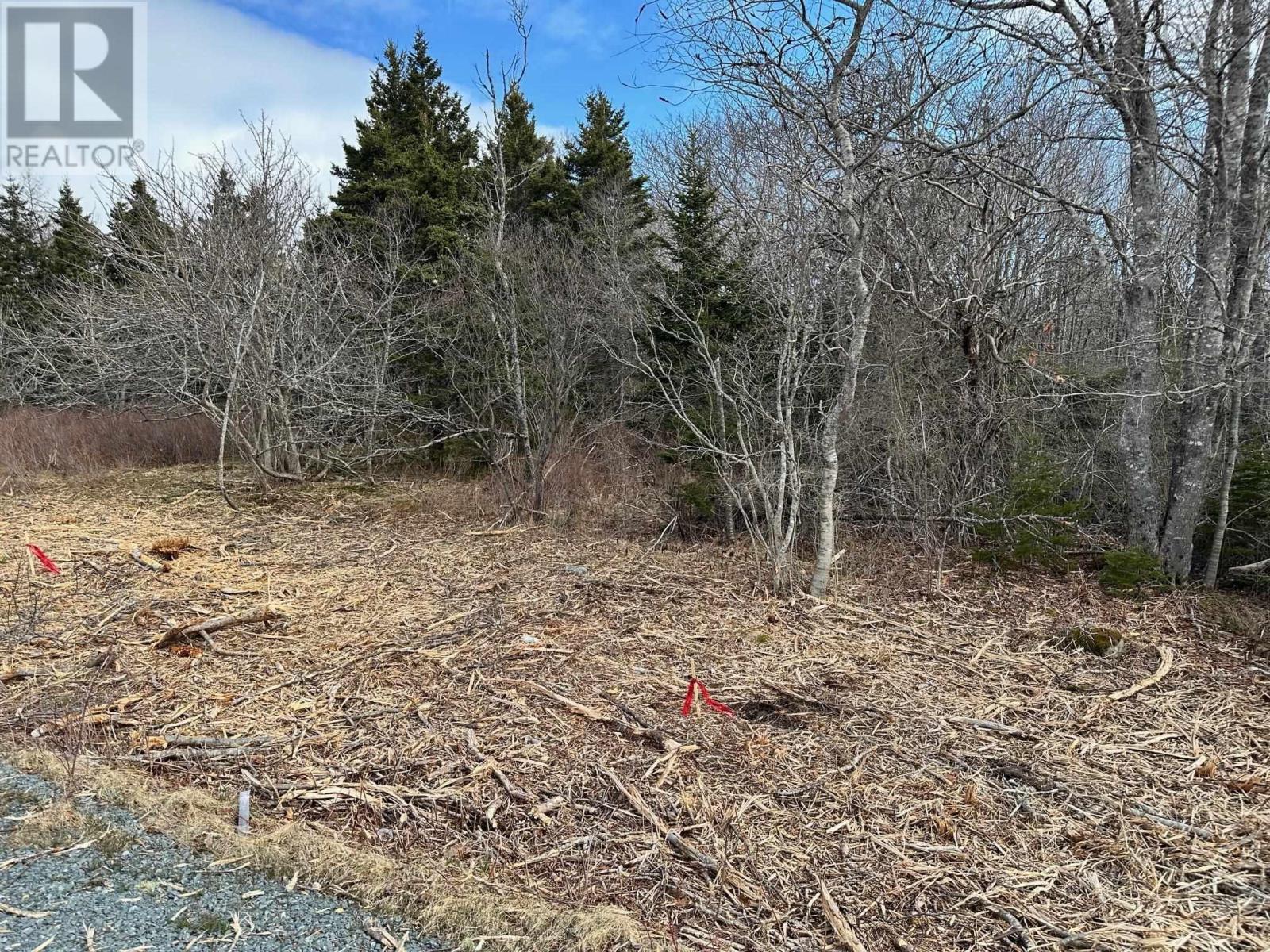 Lot 3 Shore Road, Western Head, Nova Scotia  B0T 1K0 - Photo 2 - 202406344