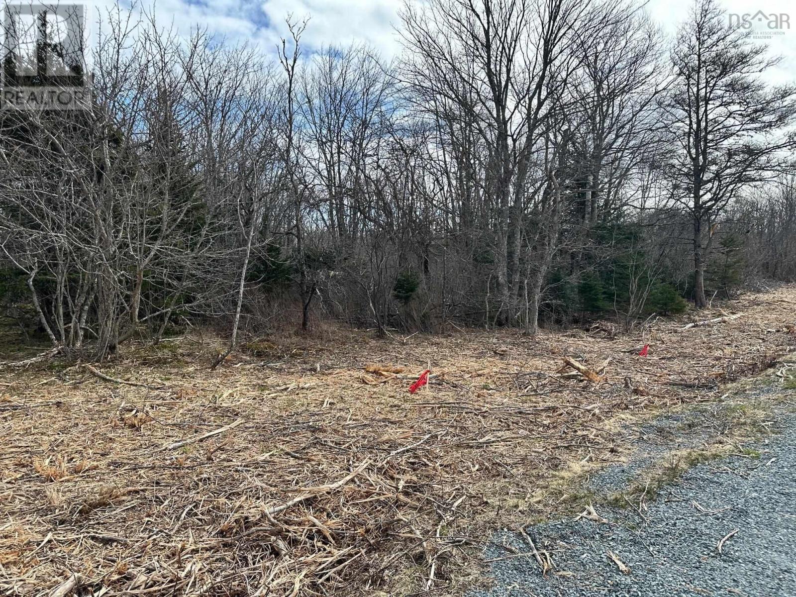 Lot 3 Shore Road, Western Head, Nova Scotia  B0T 1K0 - Photo 3 - 202406344