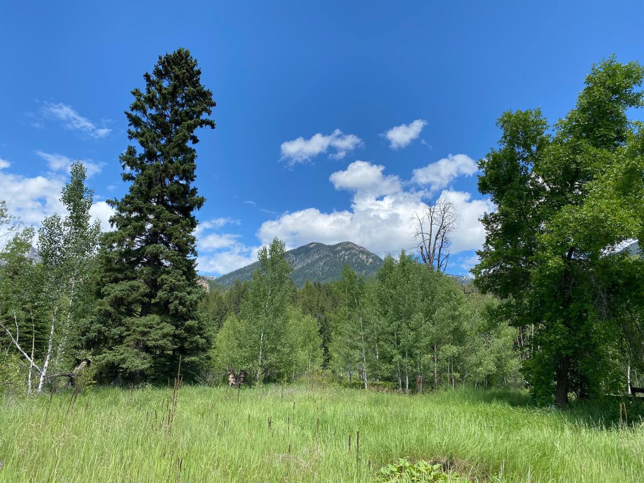 5313 Highway 95, Harrogate, British Columbia  V0A 1J0 - Photo 2 - 2475935