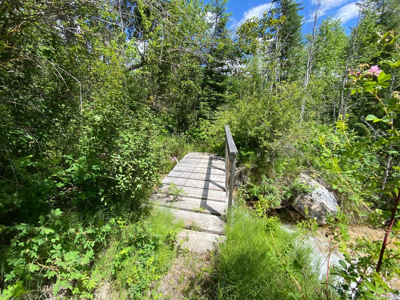 5313 Highway 95, Harrogate, British Columbia  V0A 1J0 - Photo 23 - 2475935