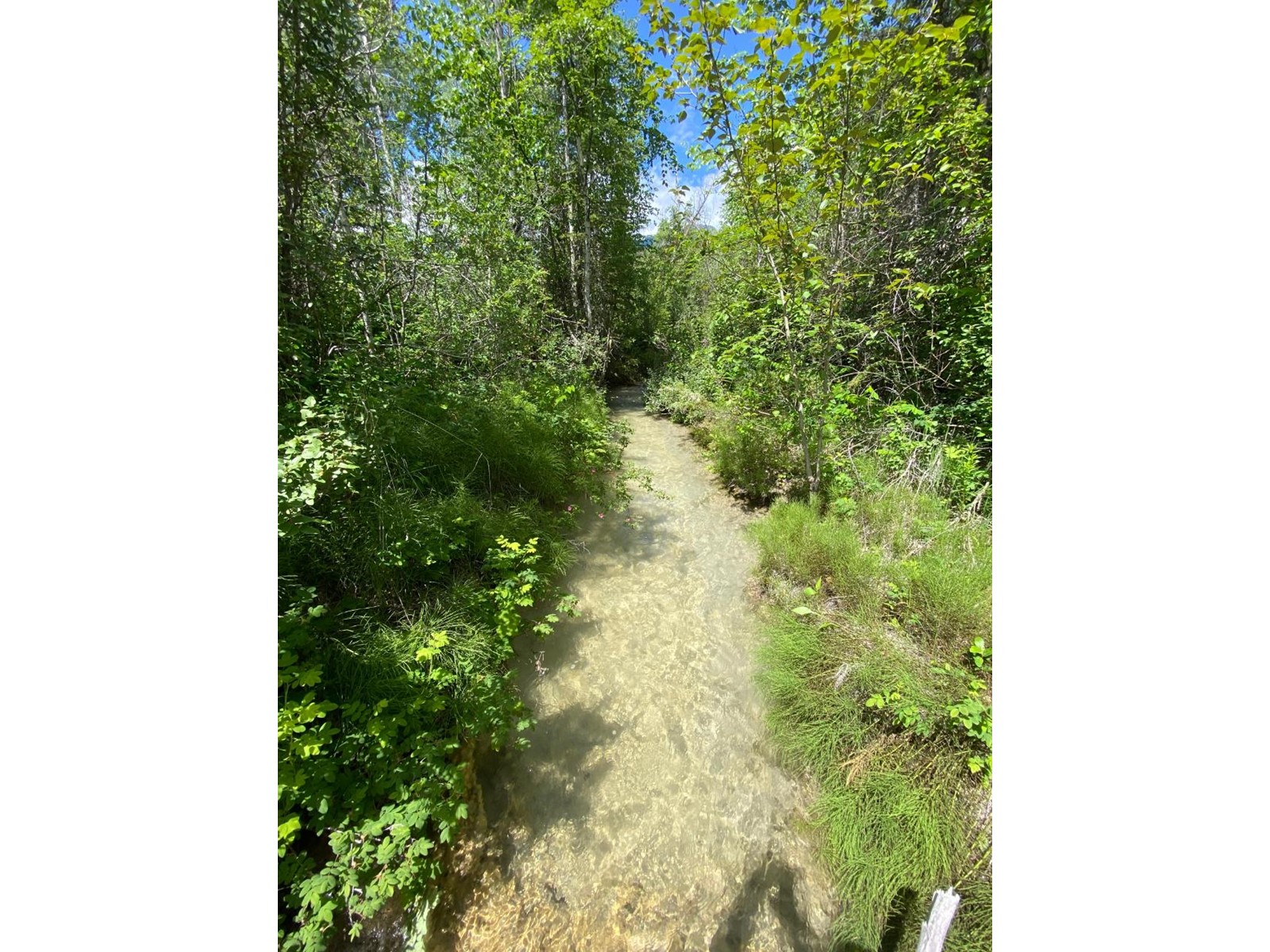 5313 Highway 95, Harrogate, British Columbia  V0A 1J0 - Photo 25 - 2475935