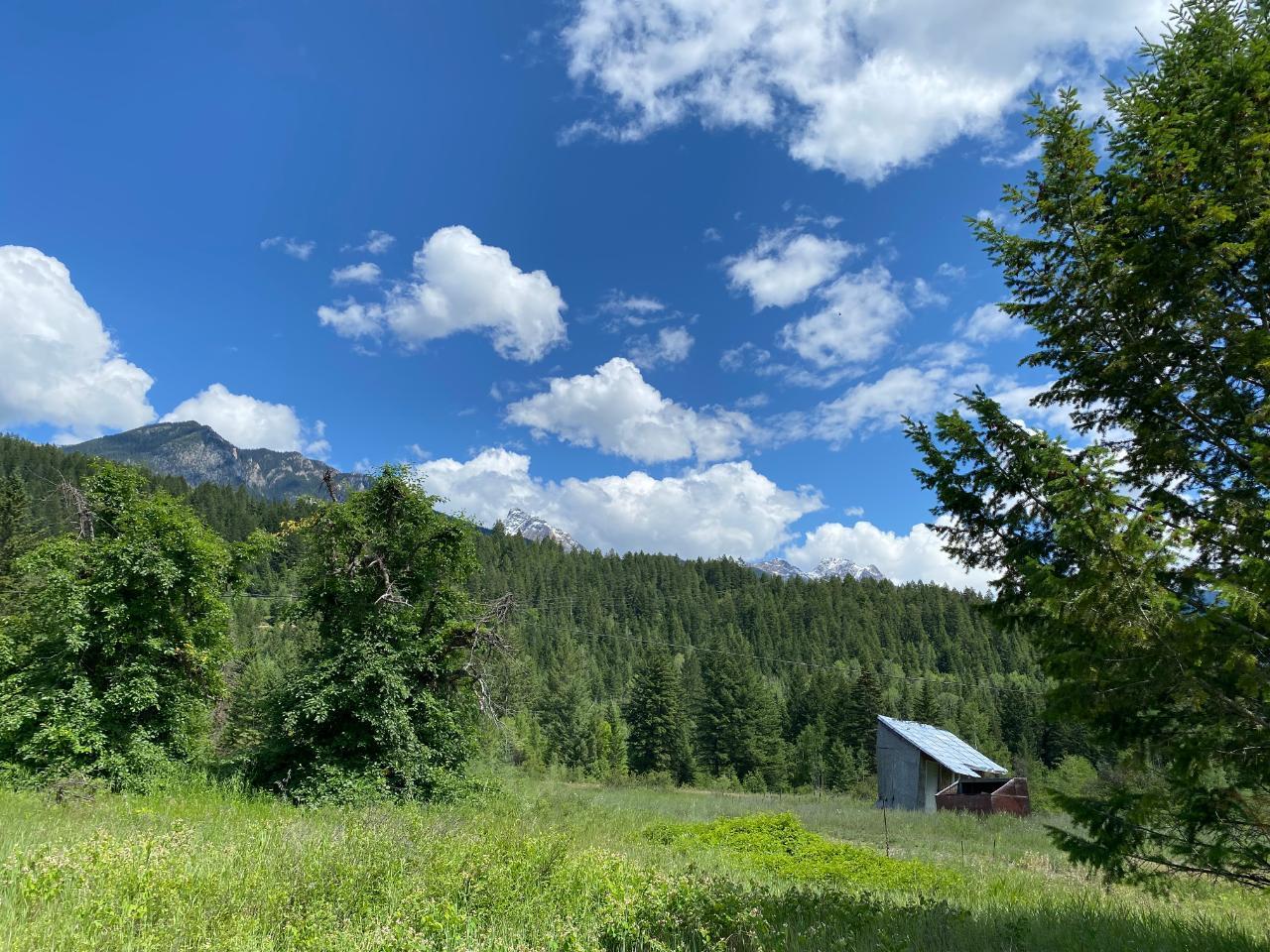 5313 Highway 95, Harrogate, British Columbia  V0A 1J0 - Photo 26 - 2475935