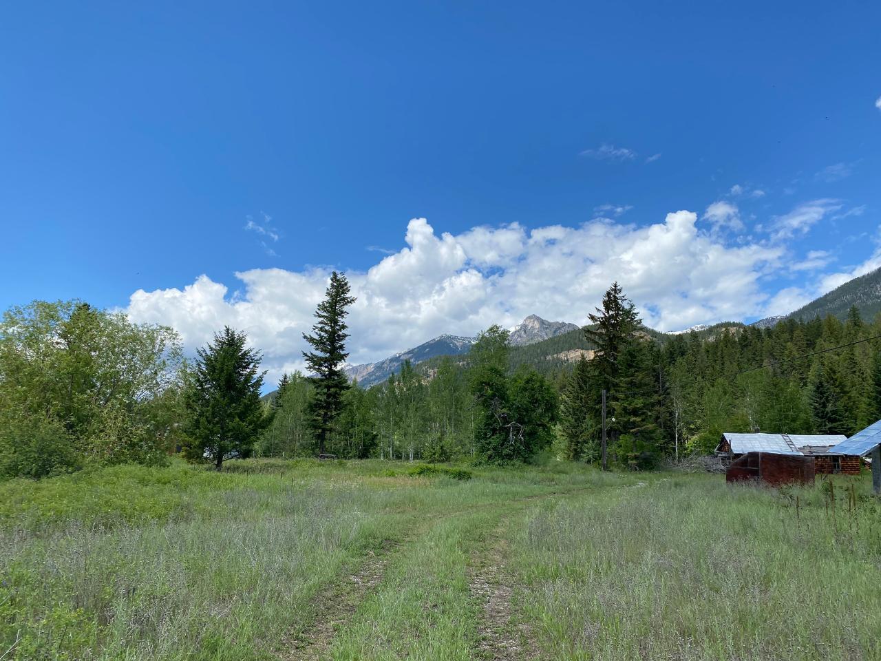 5313 Highway 95, Harrogate, British Columbia  V0A 1J0 - Photo 30 - 2475935