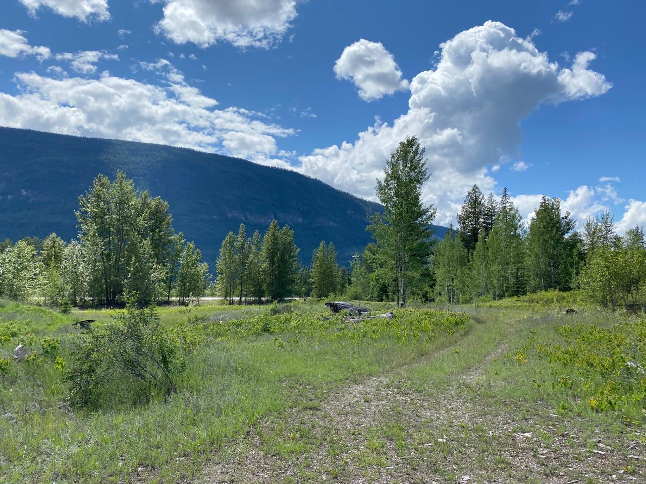 5313 Highway 95, Harrogate, British Columbia  V0A 1J0 - Photo 31 - 2475935